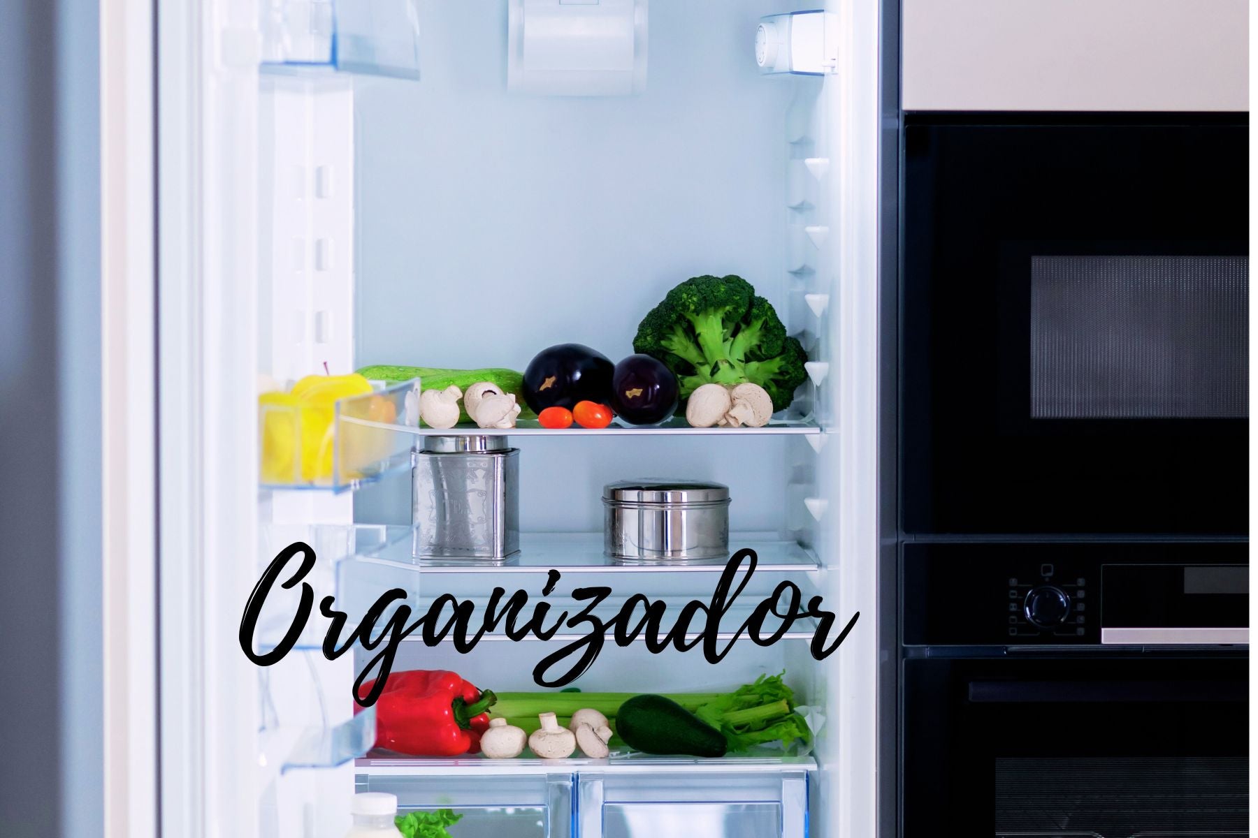 Set 4 Organizador de Refrigerador – Zaga Open House